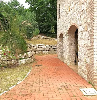 Foto annuncio 46