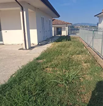 Foto annuncio 20