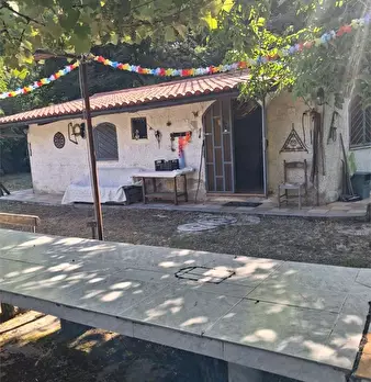 Foto annuncio 3