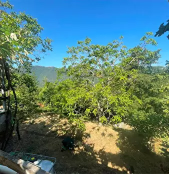 Foto annuncio 21