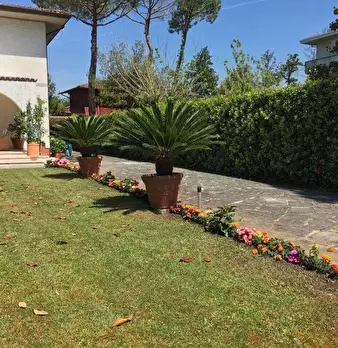Foto annuncio 34