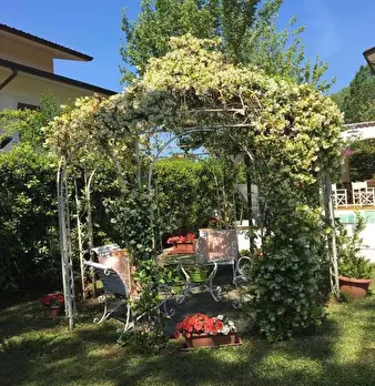 Foto annuncio 35