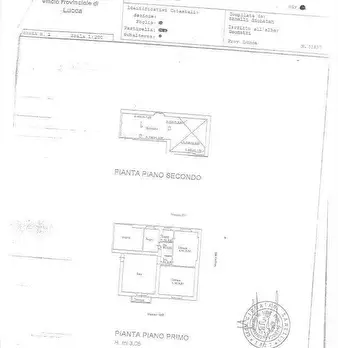 Foto annuncio 21
