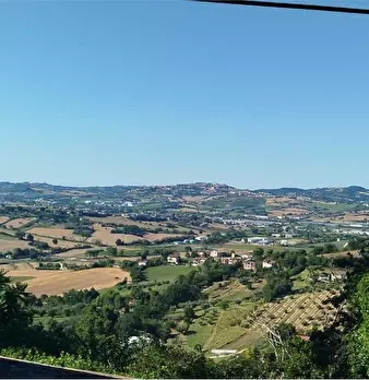 Foto annuncio 3