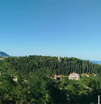 Foto annuncio 4