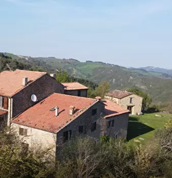 Foto annuncio 8