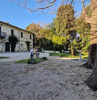 Foto annuncio 4