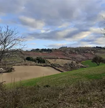Foto annuncio 2
