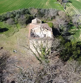 Foto annuncio 2