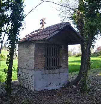 Foto annuncio 6