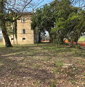 Foto annuncio 7