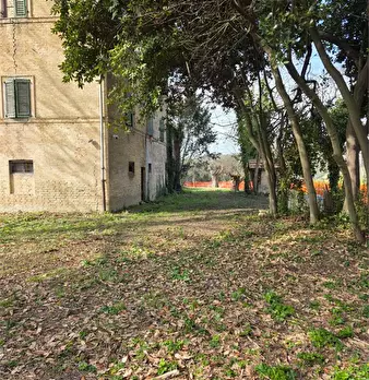 Foto annuncio 8