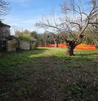 Foto annuncio 9