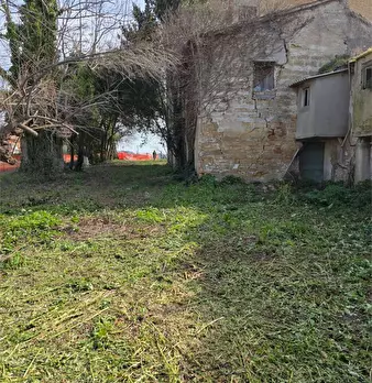 Foto annuncio 11
