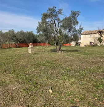 Foto annuncio 12