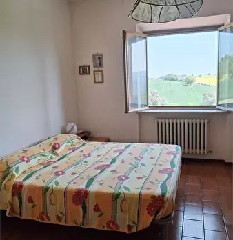Foto annuncio 12