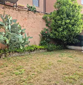 Foto annuncio 23