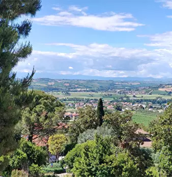 Foto annuncio 1