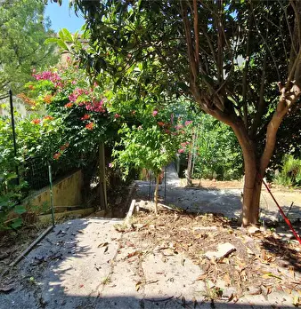 Foto annuncio 1