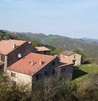 Foto annuncio 8