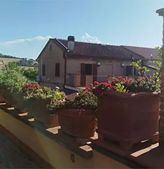 Foto annuncio 55
