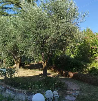 Foto annuncio 75