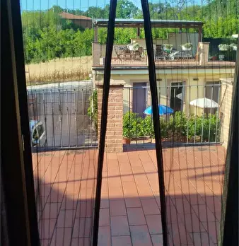 Foto annuncio 47