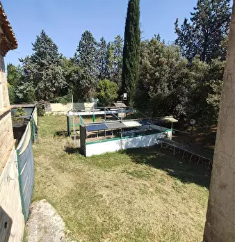 Foto annuncio 7