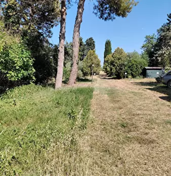 Foto annuncio 6