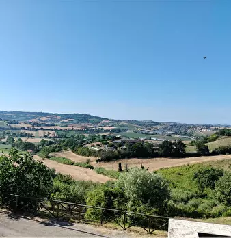 Foto annuncio 6