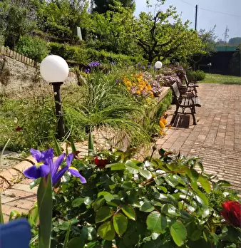 Foto annuncio 105