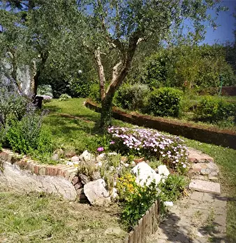 Foto annuncio 21