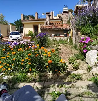 Foto annuncio 8