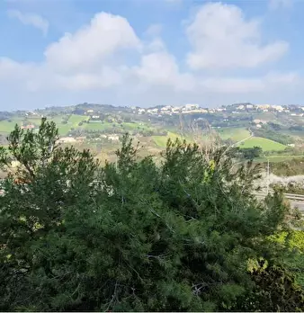 Foto annuncio 18