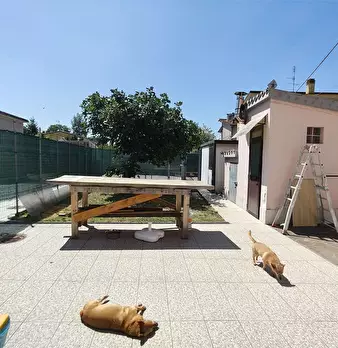 Foto annuncio 25