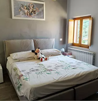 Foto annuncio 11