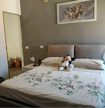 Foto annuncio 12