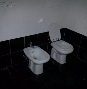 Foto annuncio 12