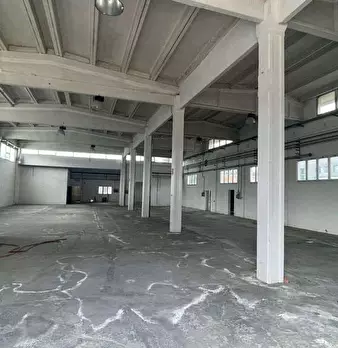 Foto annuncio 12