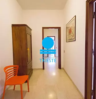 Foto annuncio 12