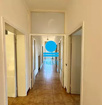 Foto annuncio 12