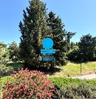Foto annuncio 11
