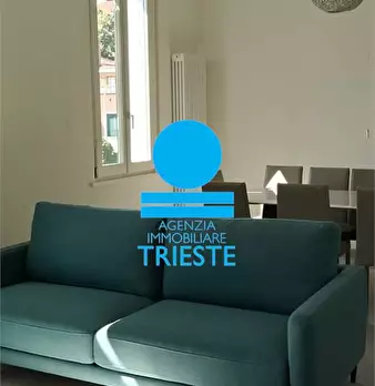 Foto annuncio 12