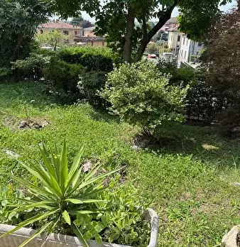 Foto annuncio 26