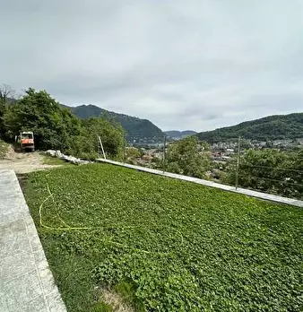 Foto annuncio 12
