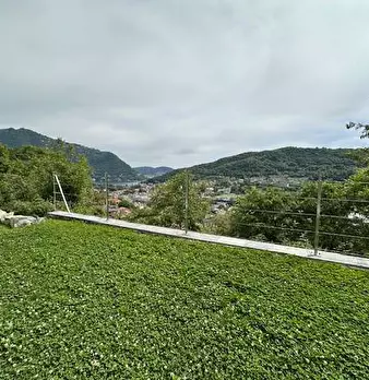 Foto annuncio 4