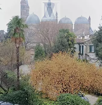 Foto annuncio 25