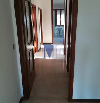 Foto annuncio 12