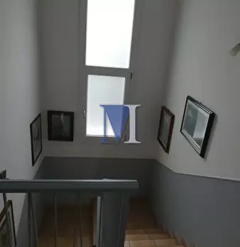 Foto annuncio 30