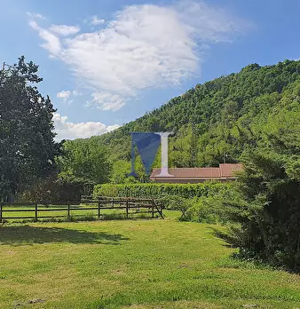 Foto annuncio 17